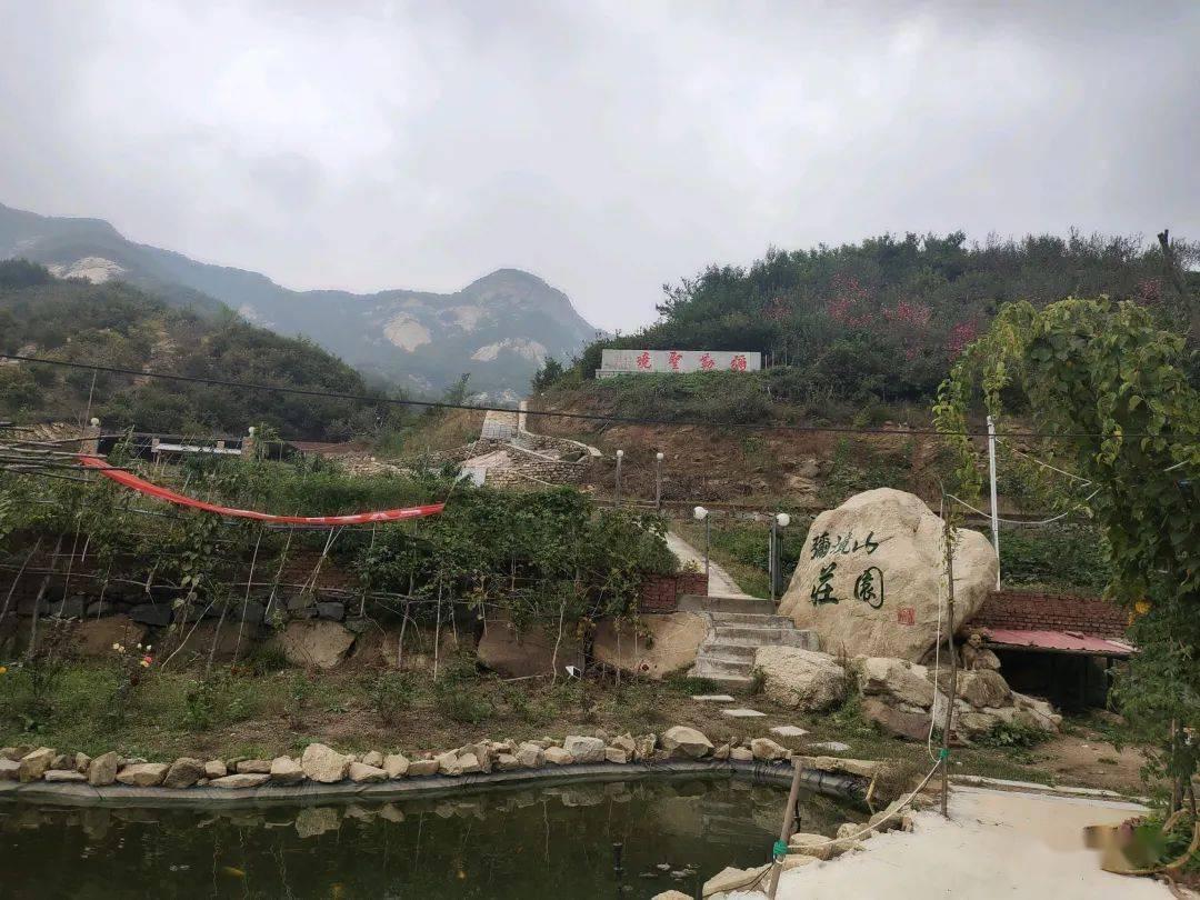 爱吃叶子的毛毛虫